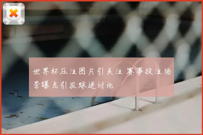 世界杯压注图片引关注 赛事投注场景曝光引发球迷讨论