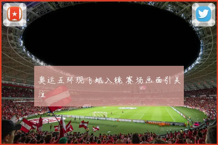 奥运五环现飞蛾入镜 赛场画面引关注