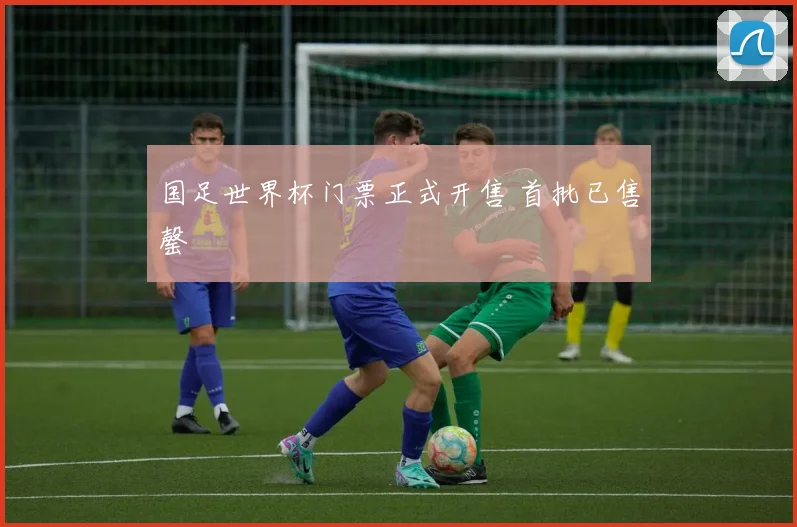 国足世界杯门票正式开售 首批已售罄
