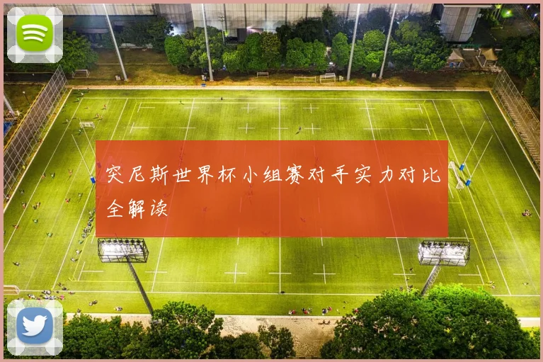 突尼斯世界杯小组赛对手实力对比全解读