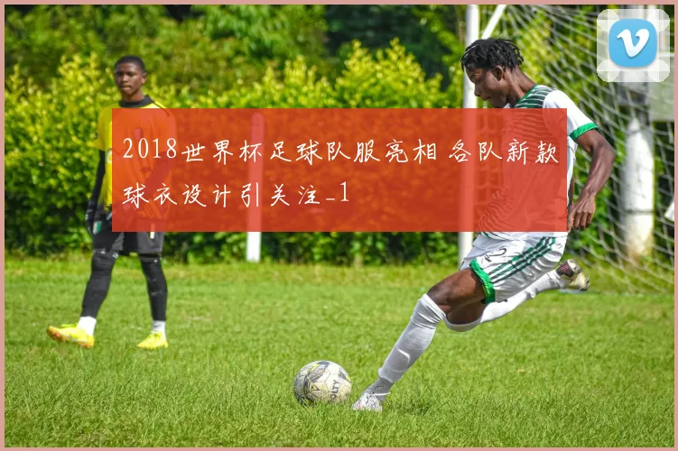 2018世界杯足球队服亮相 各队新款球衣设计引关注_1