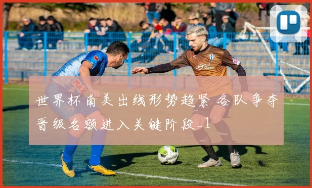 世界杯南美出线形势趋紧 各队争夺晋级名额进入关键阶段_1