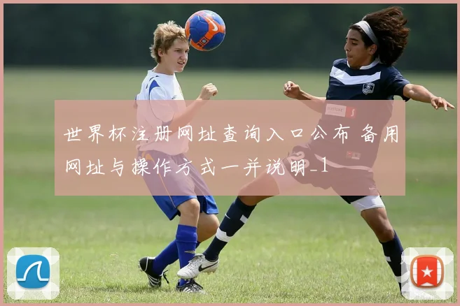 世界杯注册网址查询入口公布 备用网址与操作方式一并说明_1