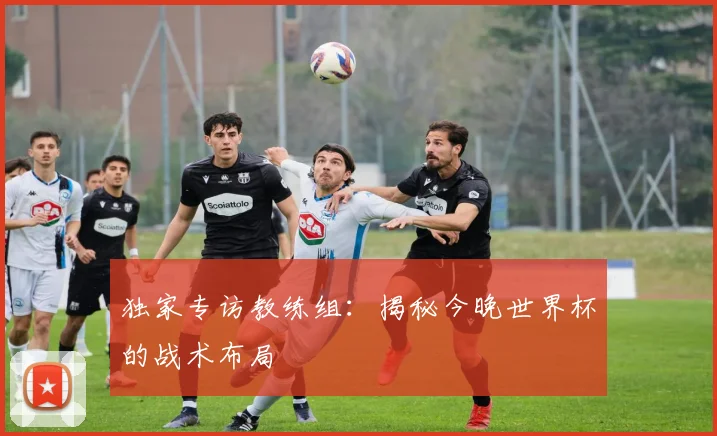 独家专访教练组：揭秘今晚世界杯的战术布局