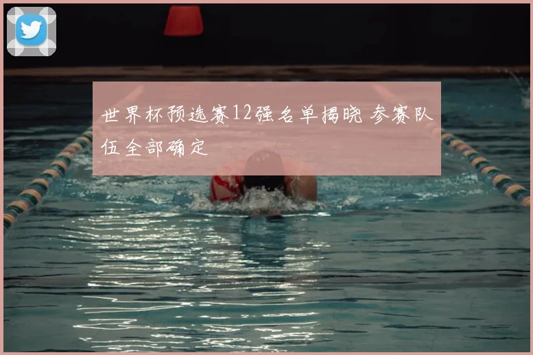 世界杯预选赛12强名单揭晓 参赛队伍全部确定