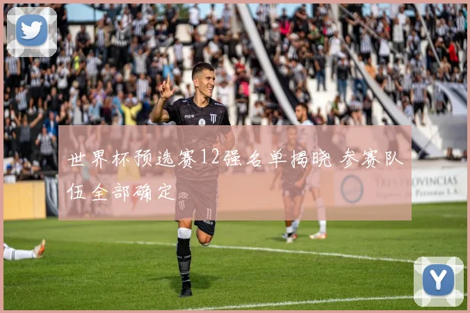 世界杯预选赛12强名单揭晓 参赛队伍全部确定