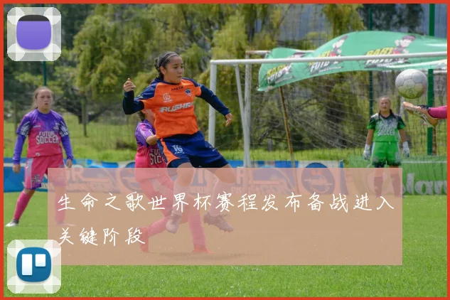 生命之歌世界杯赛程发布备战进入关键阶段